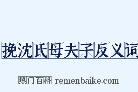挽沈氏母夫子反义词是什么意思的图片